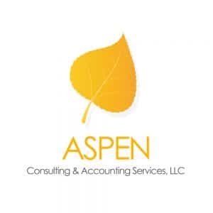 Logo Design Samples 28 LionSky Logo Aspen Consulting 1