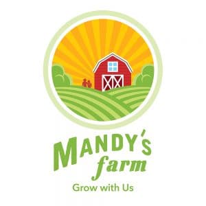Logo Design Samples 9 LionSky Logo Mandys Farm 1