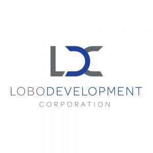 Logo Design Samples 17 LionSky LDC Logo 1000x1000