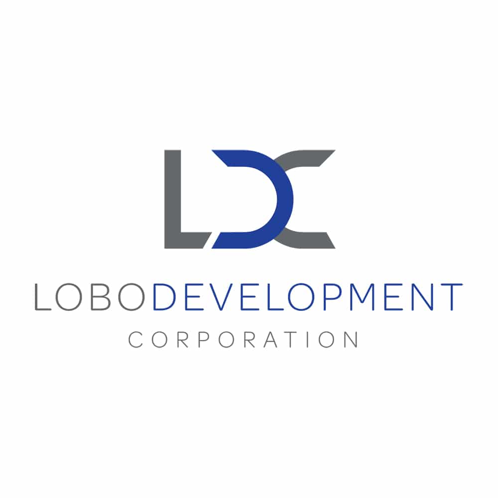 Logo Design Samples 9 LionSky LDC Logo