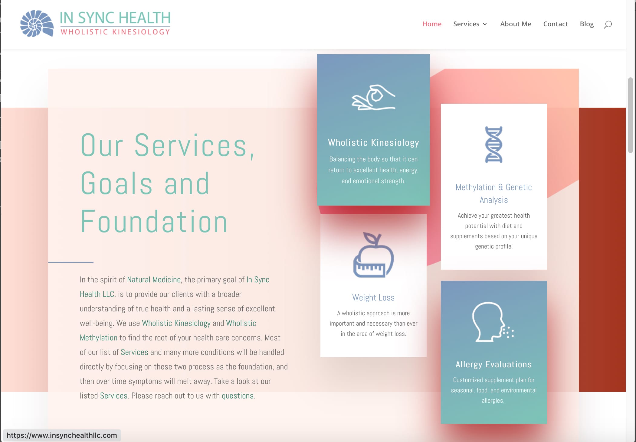 InSync Health LLC Website Snap