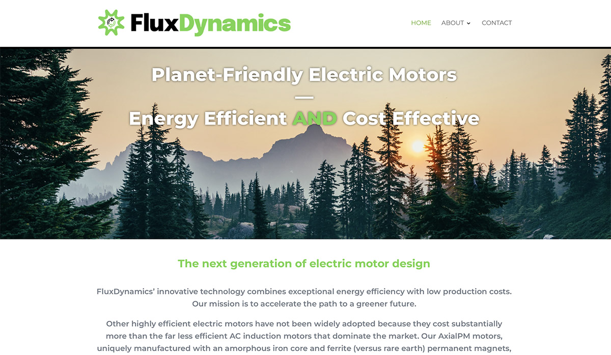 Website Designs 10 WEB FluxDynamics Electric Motors