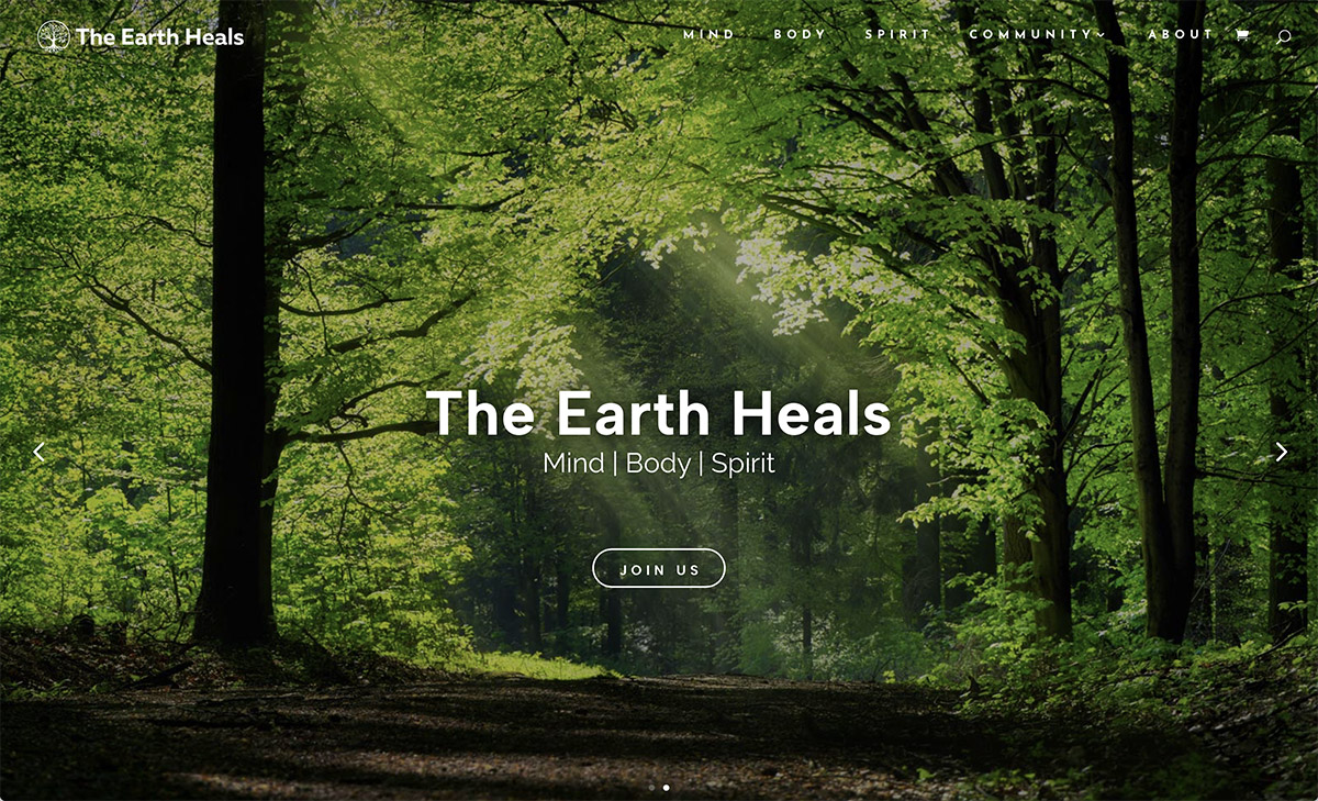 Website Designs 42 WEB The Earth Heals Wellness Site