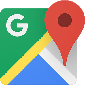SEO 1 LionSky GoogleMaps Logo